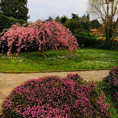 Frühstückspension La Rosa Dei Venti