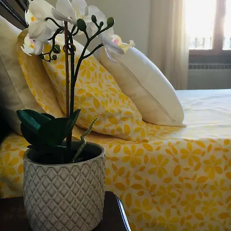 La Rosa Dei Venti Bed & Breakfast